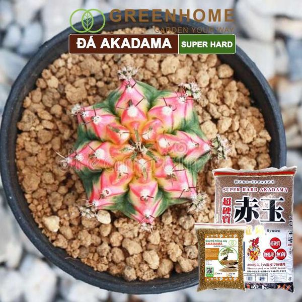 Đá Akadama, bao 1kg, loại siêu cứng, size S, cho thủy sinh, bonsai, sen đá |Greenhome