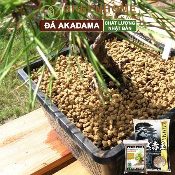 Đất akadama Greenhome, bao 1kg, giá thể bonsai, sen đá, phân nền thủy sinh, bonsai nhiều size lựa chọn
