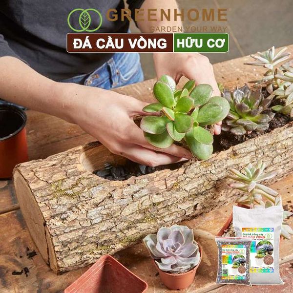 Đá cầu vồng Greenhome, kích rễ, đậm màu, thoát nước tốt, chuyên xương rồng, sen đá, bonsai