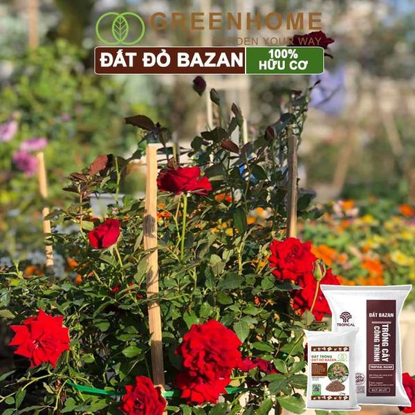Đất đỏ bazan Tropical, trồng hoa hồng, kiểng lá, rau sạch, cây ăn trái |Greenhome