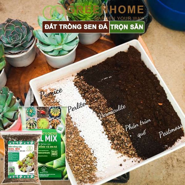 Đất trồng Sen đá Soil Mix, bao 6kg, đầy đủ dinh dưỡng, thoát nước tốt, Sen đá bền màu |Greenhome