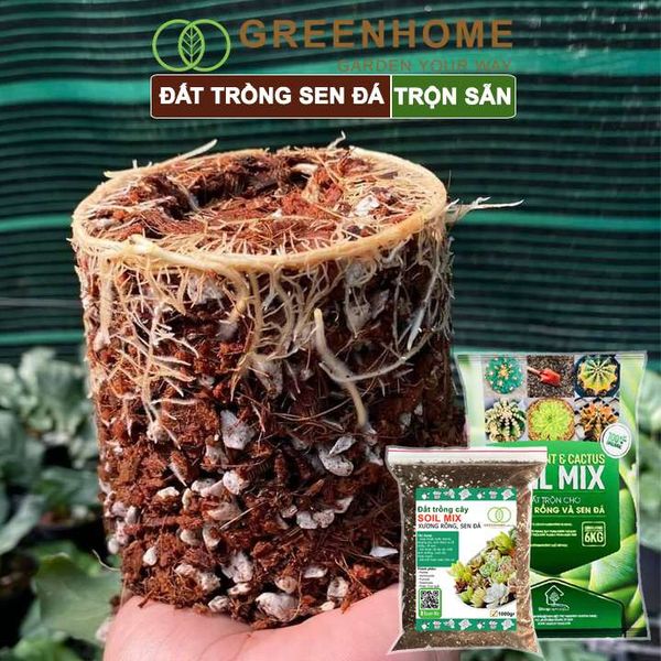 Đất trồng Sen đá Soil Mix, bao 6kg, đầy đủ dinh dưỡng, thoát nước tốt, Sen đá bền màu |Greenhome