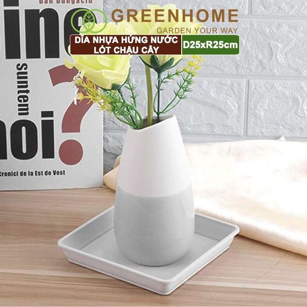 Dĩa nhựa lót chậu cây, R25cm, nhựa nguyên sinh, bền, đẹp, nhiều hình dạng lựa chọn | Greenhome