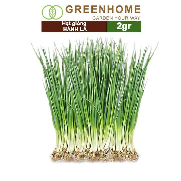 Hạt giống Hành lá, hành hương cao sản, gói 2gr, sinh trưởng mạnh, năng suất cao G01 |Greenhome