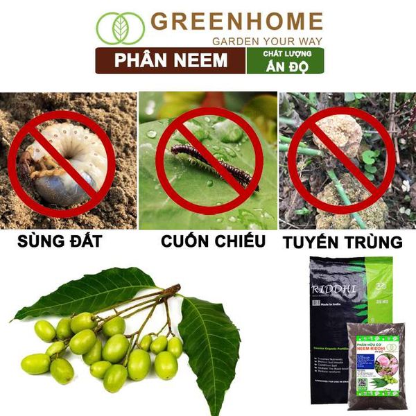 Phân bón hữu cơ Neem nguyên chất Greenhome, trị sùng đất, cuốn chiếu, hỗ trợ kích rễ, mầm, hoa, thân, lá