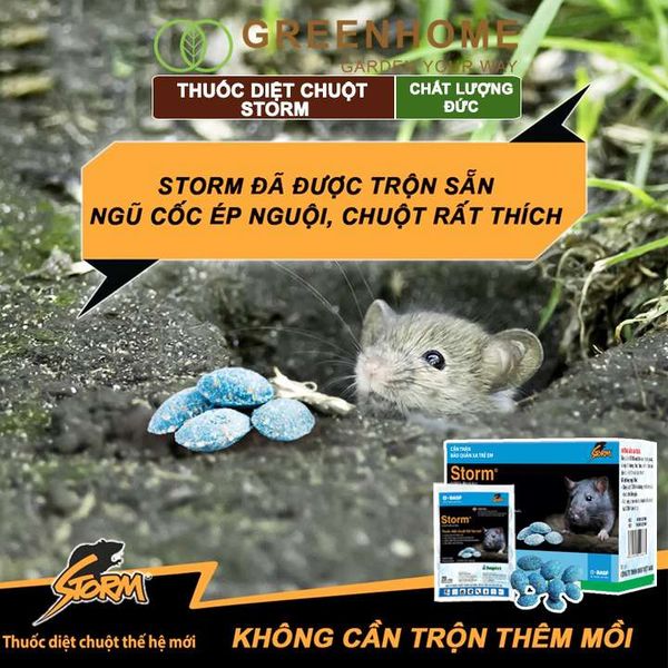 Thuốc diệt chuột sinh học Storm, hiệu quả, an toàn với người, vật nuôi |Greenhome