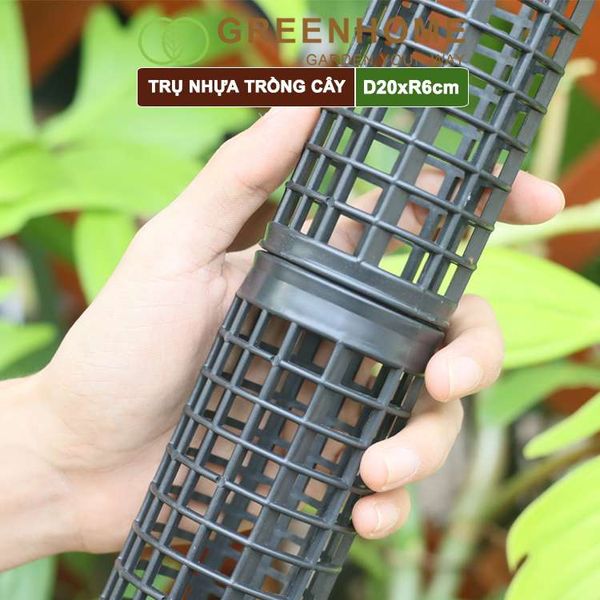 Trụ nhựa trồng cây, D20xR6cm, nhựa cứng, có khớp dễ nối dài, chuyên hệ cây leo, trầu bà, kiểng lá |Greenhome