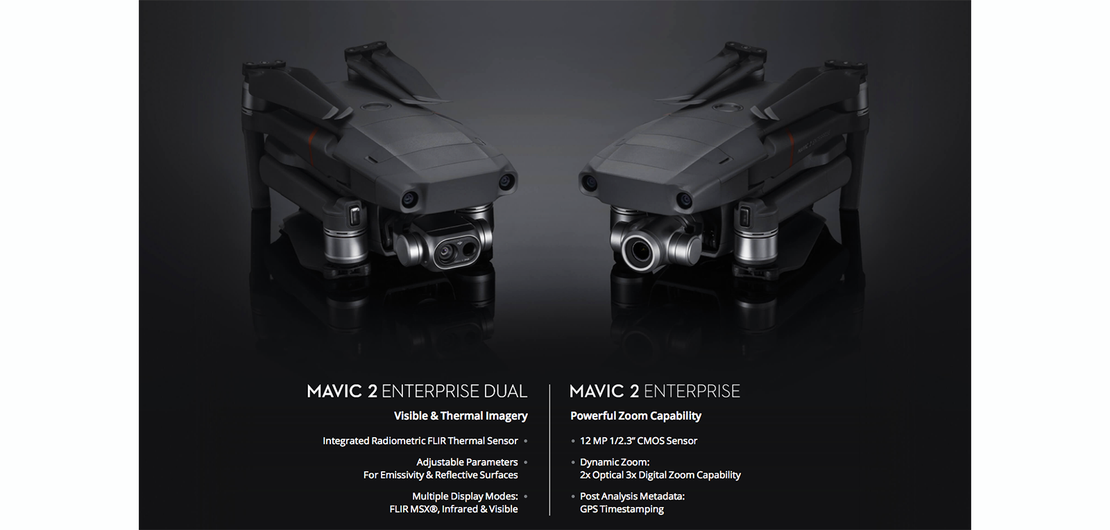 Mavic 2 Enterprise series zoom and dual 
