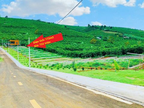 Hé Lộ Các Thông Tin, Kinh Nghiệm Mua Đất Bảo Lộc Chân Thật Nhất