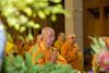 🙏🙏🙏HƯỚNG DẪN NGHI THỨC NIỆM PHẬT HÀNG NGÀY CHO PHẬT TỬ (Trích từ tạp chí Phật giáo https://phatgiao.org.vn/)