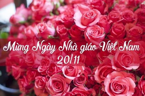 Những lời chúc 20/11 ngắn gọn ý nghĩa, tràn đầy tình cảm