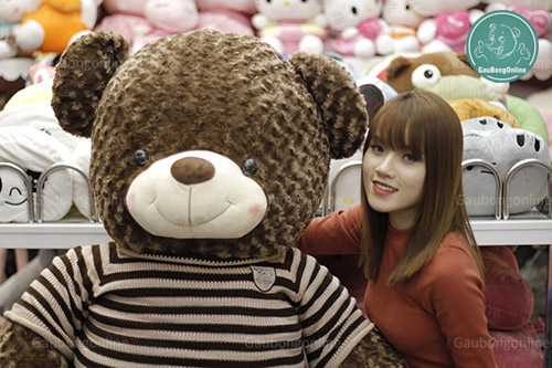 gấu teddy