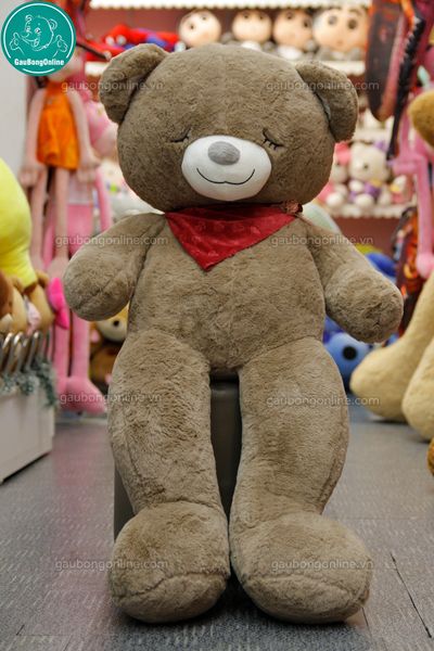 Gấu teddy quàng khăn 