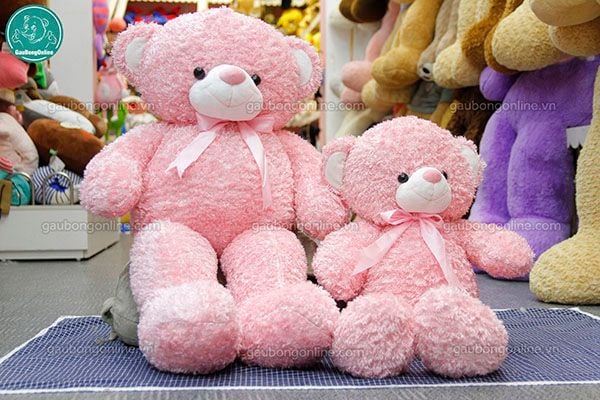 Mua gấu teddy ở tphcm và Hà Nội đẹp mà rẻ | gaubongonline.com