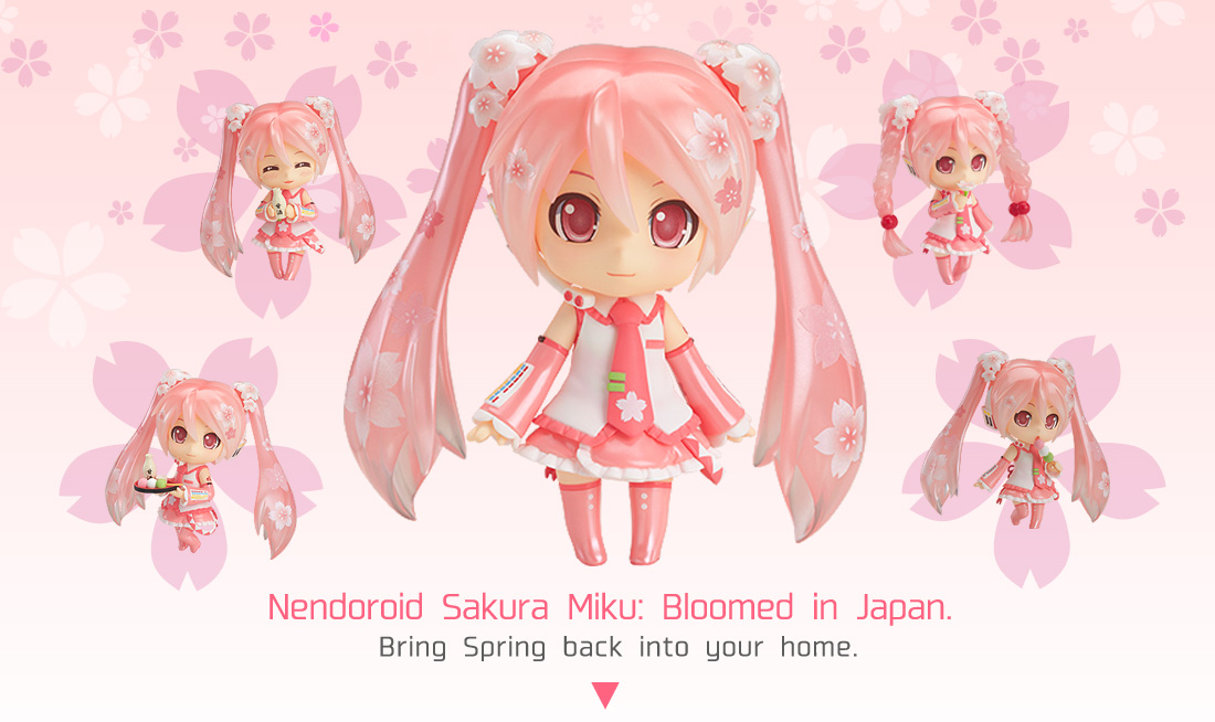 Trang giới thiệu Nendoroid Sakura Miku: Phù Tang khoe sắc