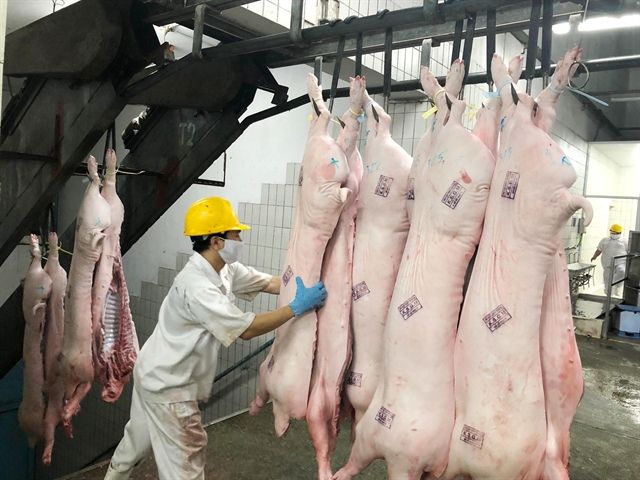 Thị trường thịt lợn bị ảnh hưởng như thế nào khi xung đột Ukraine và Nga diễn ra ?