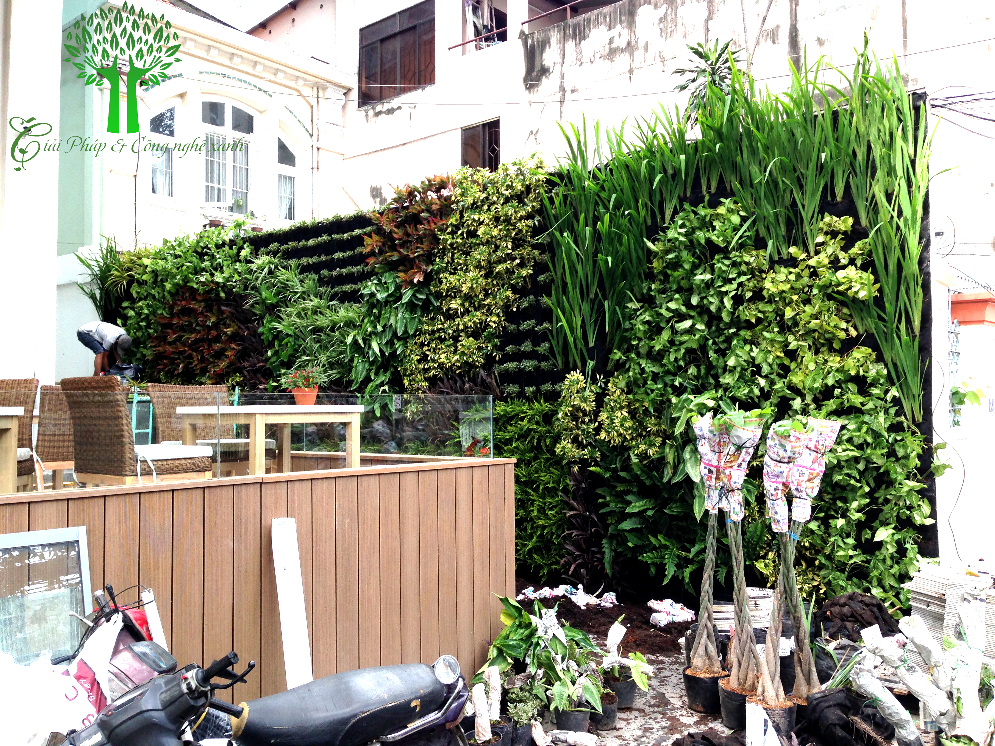 Thi công Vườn Trên Tường Fusion Suites Saigon