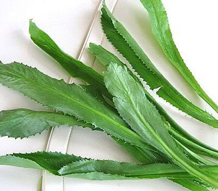 Mẹo để sỏi thận tự chui ra mà không hề mất tiền