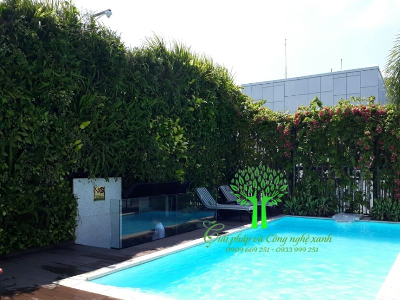 Cảnh quan hồ bơi và vườn trên tường khách sạn Paragon Saigon Hotel 4****