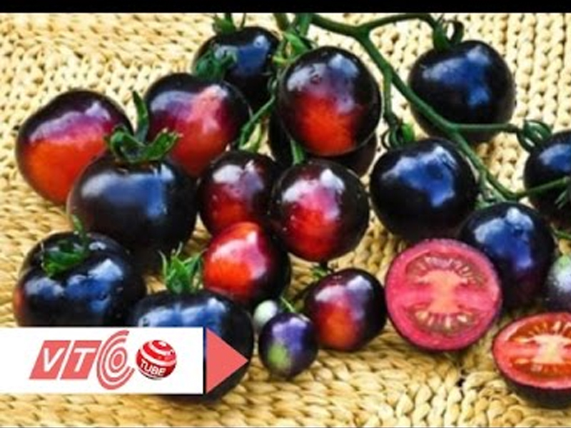Độc lạ rau củ 'đột biến' đủ màu sắc lợi hay hại?