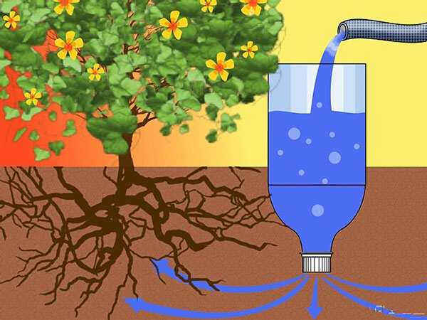 Tự Tạo Hệ Thống Tưới Tự Động cho Cây chỉ bằng Chai Nước
