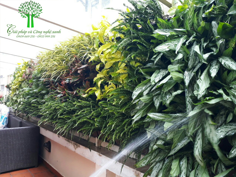 Vườn trên tường Nhà anh Long - KDC Him Lam Quận 7