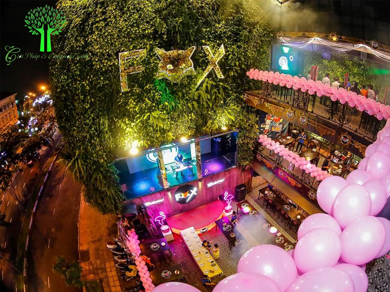 Fox Beer Lounge 11 Hàm Nghi, Nguyễn Thái Bình, Q1