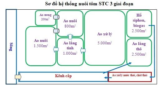 5-cong-nghe-nuoi-tom-thich-ung-tien-tien-hien-nay