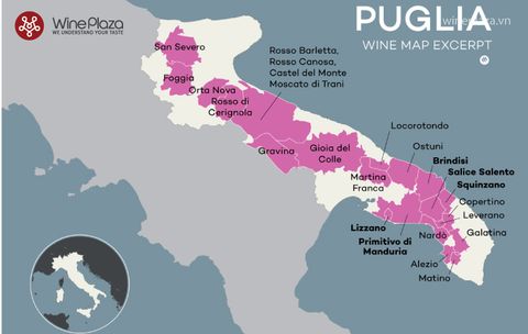 Vùng đất của rượu vang - Puglia, Italy