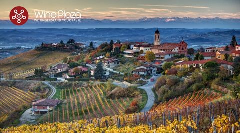 Piedmont - Vùng rượu vang hà khắc của Ý