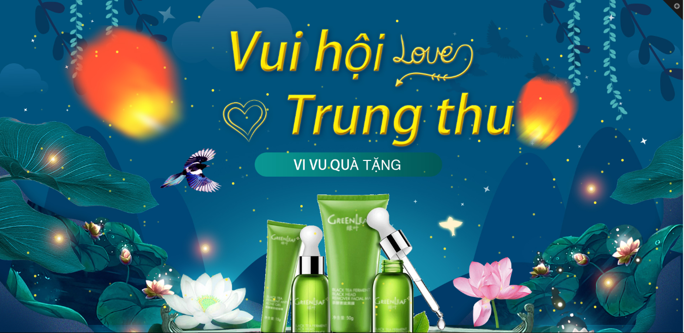 Hướng dẫn cài đặt Lovemoon-001