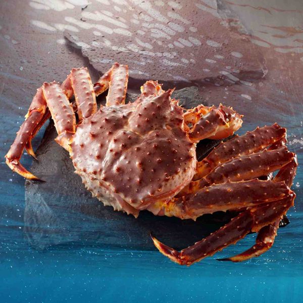 King Crab Na Uy tươi sống
