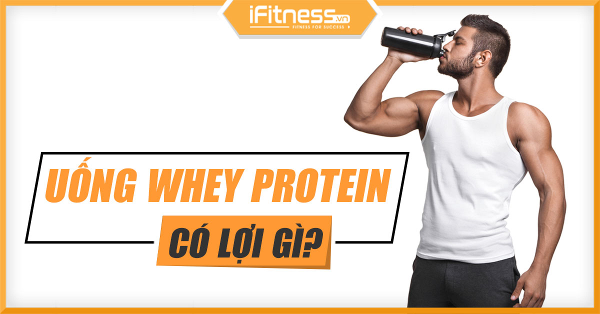 Lợi ích của Whey Protein cho người tập gym, thể hình là gì?