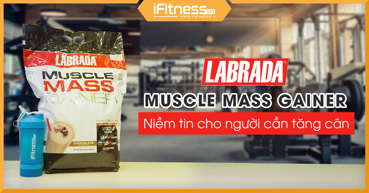 Đánh giá Muscle Mass Gainer Labrada - Tăng cân, tăng cơ là quá dễ