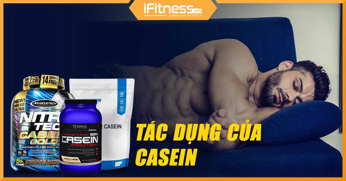 Top 4 tác dụng của casein protein bạn cần biết trước khi mua hàng
