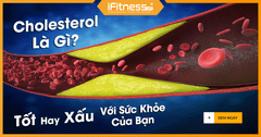 Cholesterol Là Gì? Tốt Hay Xấu Với Sức Khỏe Của Bạn.