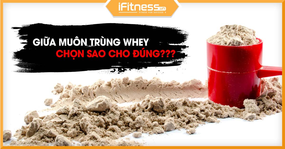 cach chon whey protein nao tot