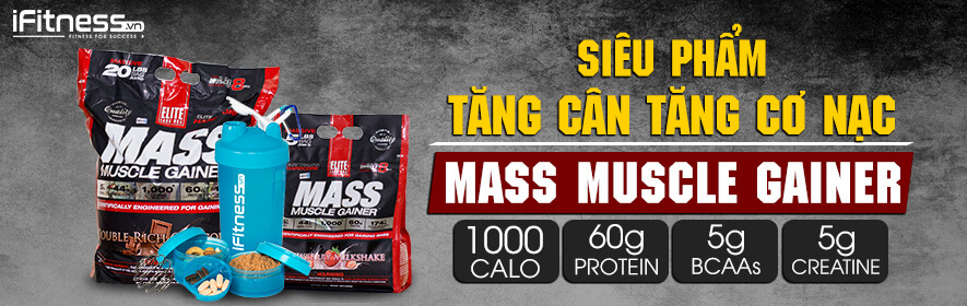 iFitness Collection Tang Can Mass Muscle Gainer