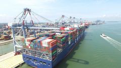 Đề xuất nâng cấp luồng cho cảng Cái Mép đón tàu tải trọng