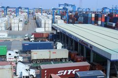 Tìm chủ nhân 300 container hàng tồn đọng tại cảng Cát Lái