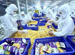 Vietnam has advantages in exports to Romania