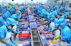 5 tháng đầu năm, xuất khẩu thủy sản giảm nhưng nhập khẩu tăng