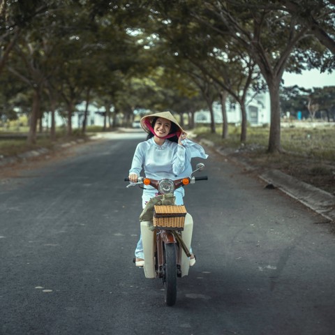 Vietnam motorbike circulating data - Market research
