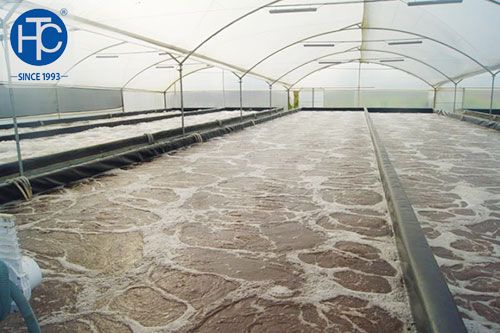 Sử dụng máy bơm hỏa tiễn, bơm điện chìm trong nuôi tôm thẻ chân trắng siêu thâm canh 2