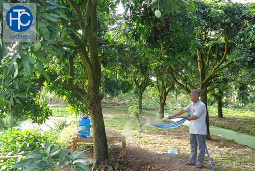 Chăm sóc cây ăn trái vào mùa khô bằng phân hữu cơ và máy bơm hỏa tiễn3