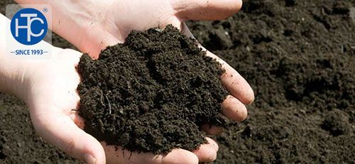 Chăm sóc cây ăn trái vào mùa khô bằng phân hữu cơ và máy bơm hỏa tiễn