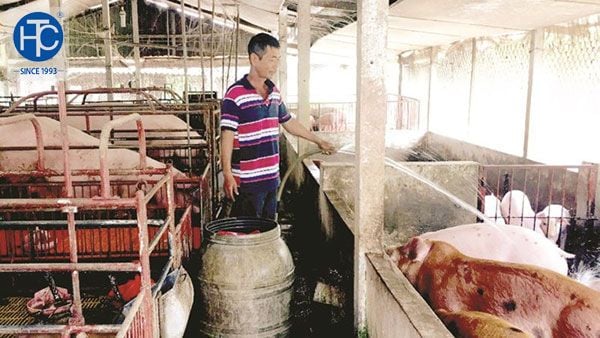 Nắng nóng cực độ, thiêu đốt toàn miền Bắc