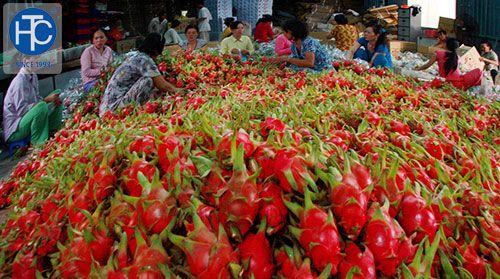 Nhu cầu sử dụng máy bơm nước hỏa tiễn tăng cao ở các tỉnh Đông Nam Bộ