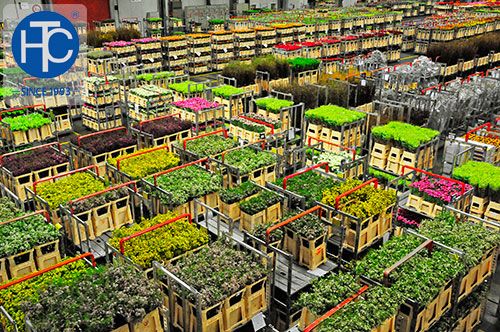 Nhu cầu sử dụng máy bơm nước hỏa tiễn tăng cao ở các tỉnh Đông Nam Bộ2