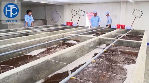Phát triển mô hình nuôi tôm công nghệ cao tại tỉnh bình định1